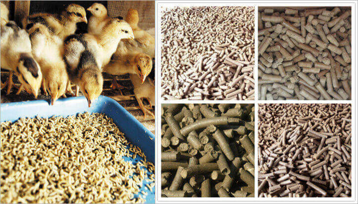 animal rabbit chicken pig pellets made by the electric feed pelletizer