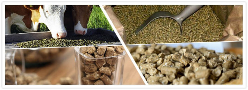 superior-quality-cattle-feed-pellet-plant-livestock-feed-pellet-plant